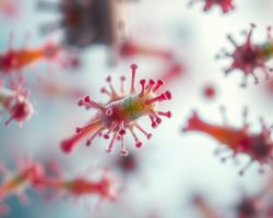 Choroby bakteryjne: objawy, przyczyny i skuteczne leczenie